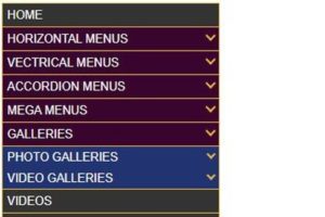 ACCORDION-MENU-7