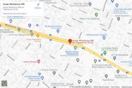 GOOGLE MAP